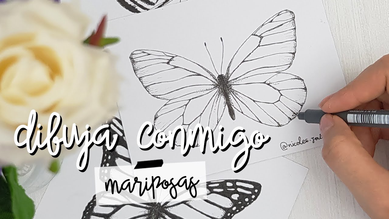 Como dibujar mariposas + Reto de dibujo primaveral || Dibujo para primavera || Dibuja conmingo