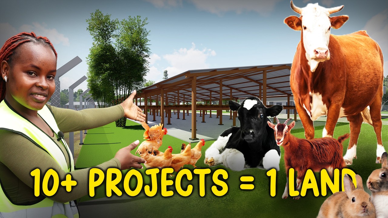 How to Maximize a 7-Acre Farm: Diary structures, Rabbit Housing Explained | part 2 | 2026