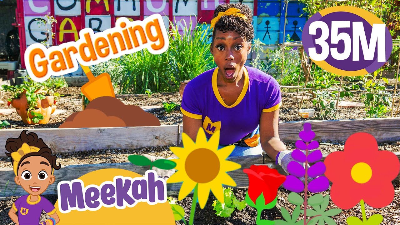 Meekah's Garden | Educational Videos for Kids | Blippi and Meekah Kids TV