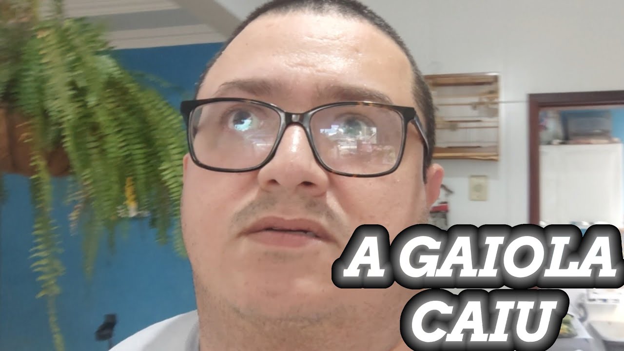 Preparativos para o torneio e a queda da gaiola no chão - Criatório Itaicanto