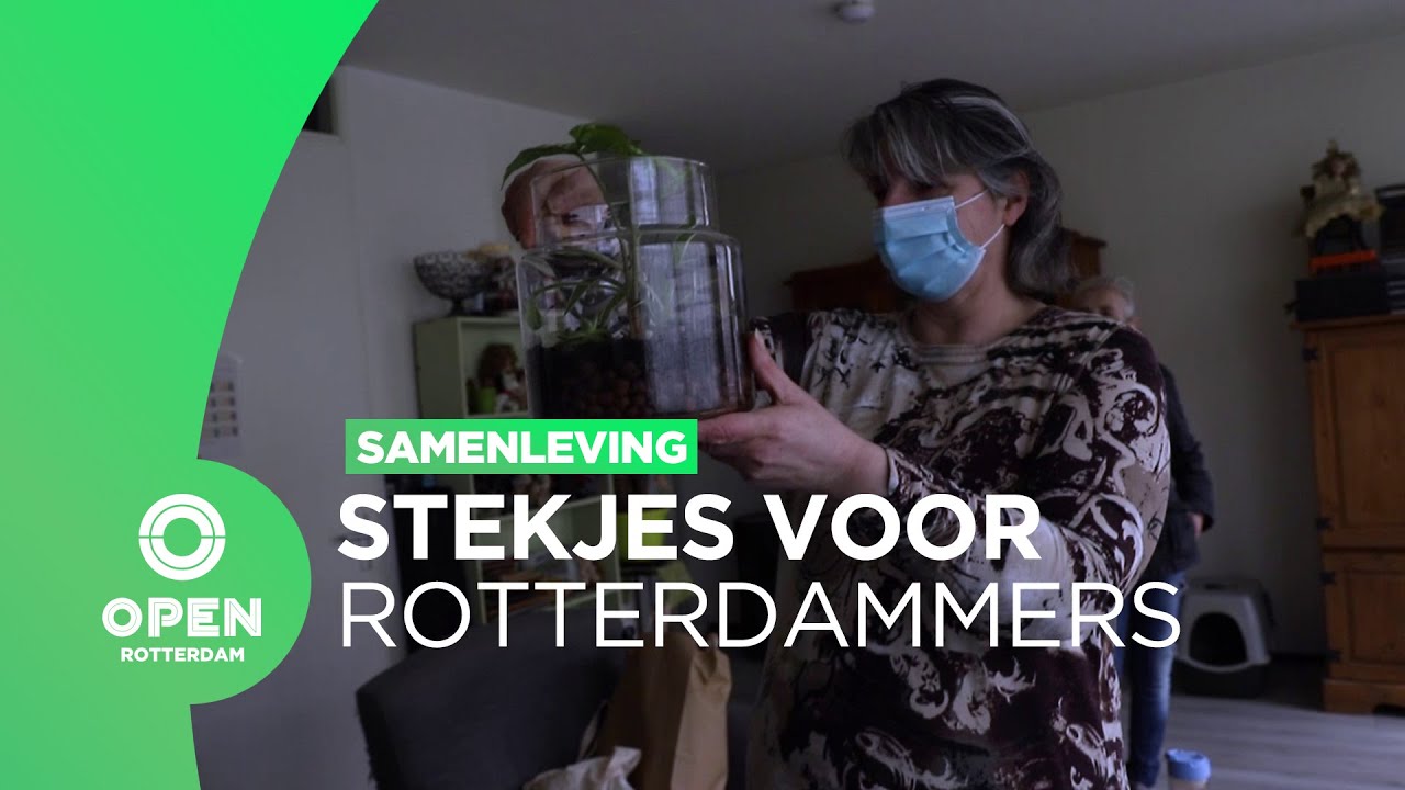 Stichting Pluspunt deelt plantenpakketten uit aan Rotterdammers met een smalle beurs | Samenleving