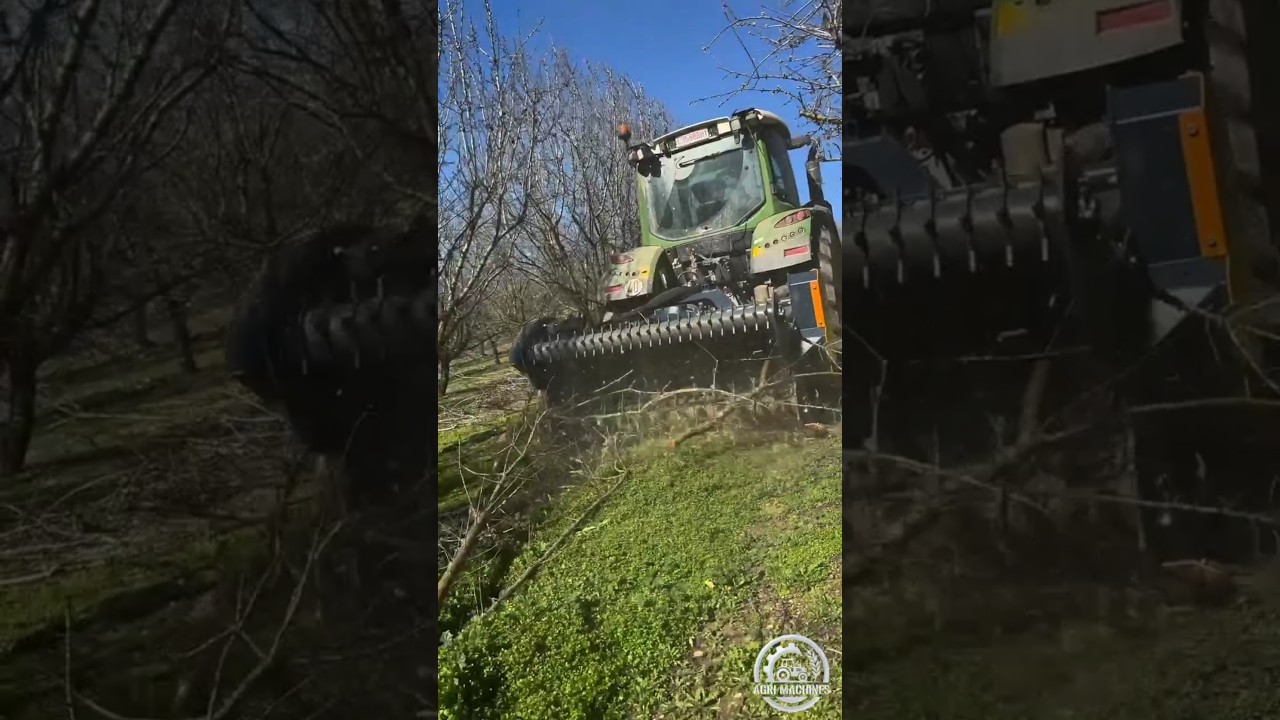 Shredder TJP 190 in Action || For Pruning Remains in Orchards & Vineyards || #shredder #shorts