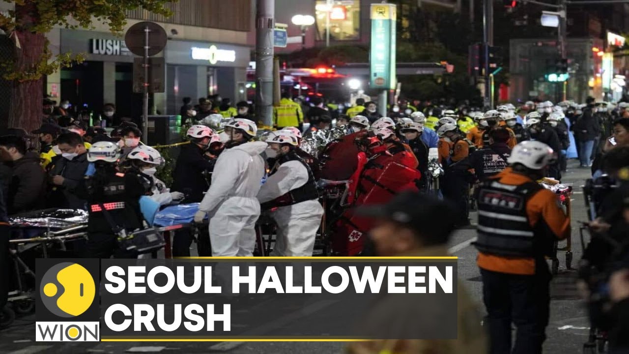 South Korean police admits 'heavy responsibility' for Halloween stampede disaster| World News | WION