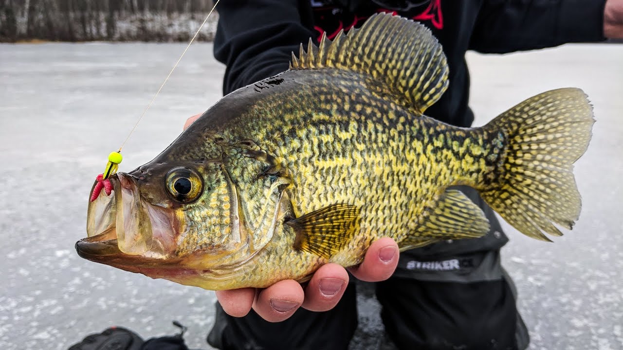 Upper Peninsula Panfish - In-Depth Outdoors Season 12, Episode 2