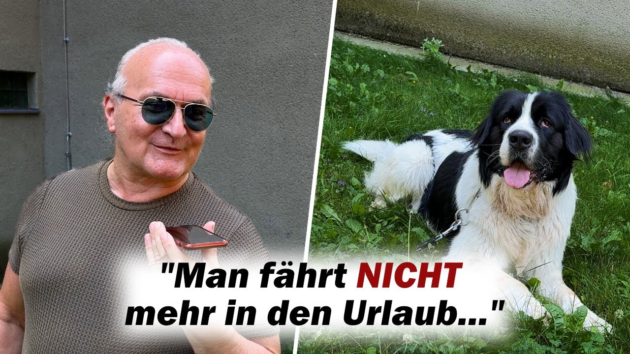 Meine Hundestroy: Der sanfte Wächter – Begegnung mit einem Moskauer Wachhund