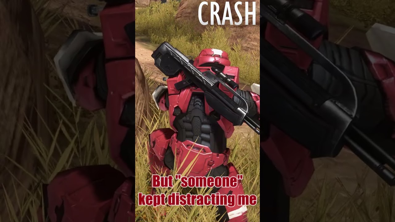 CRASH: Birds?