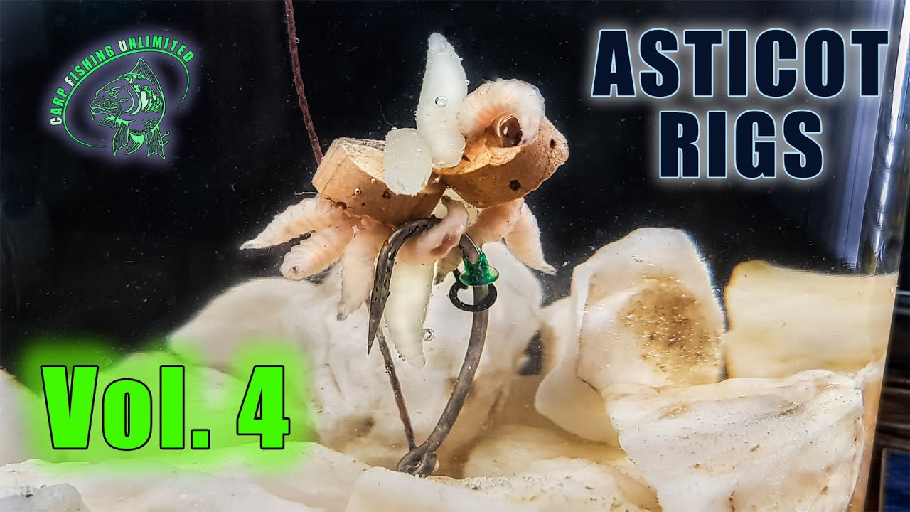MONTAJES CON ASTICOT / MAGGOT RIGS / (PakoBG CARPFISHING)