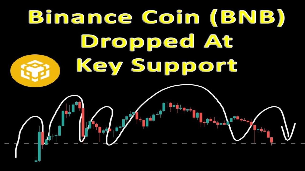 Binance Coin (BNB) Dropped At Key Support