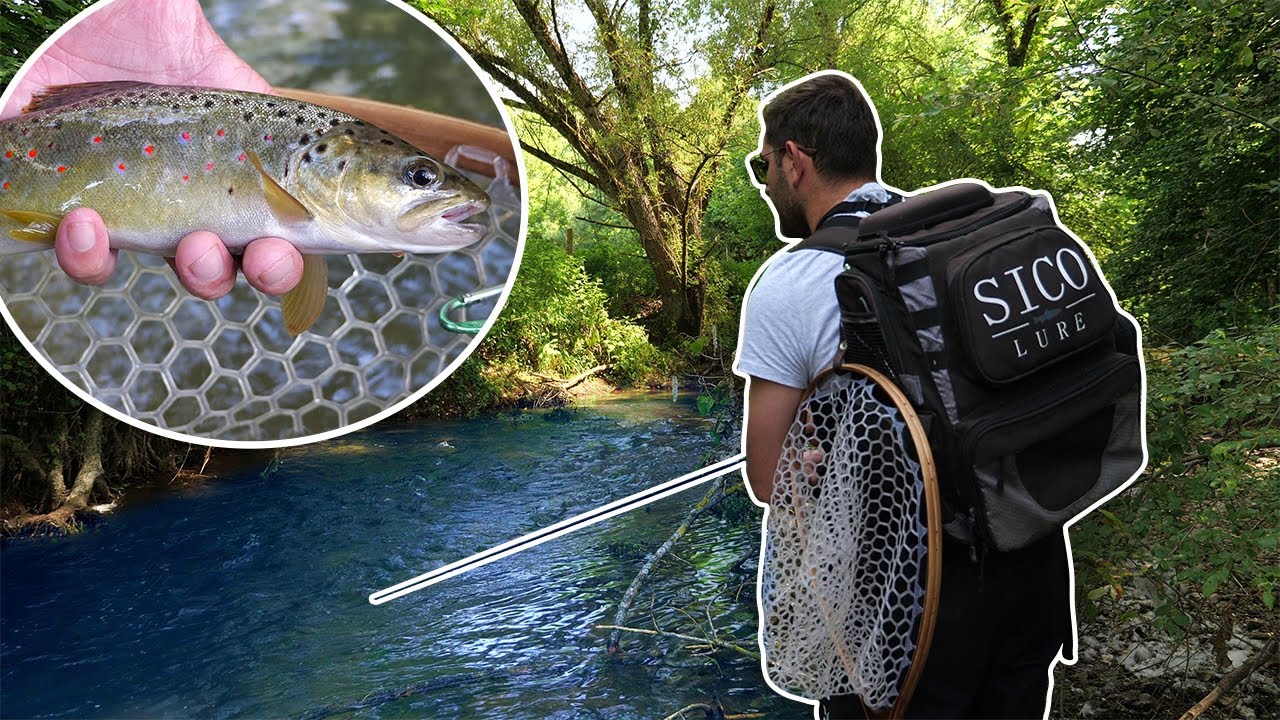 Retour aux sources : Reste-t-il des TRUITES sur la rivière de mon enfance ?!