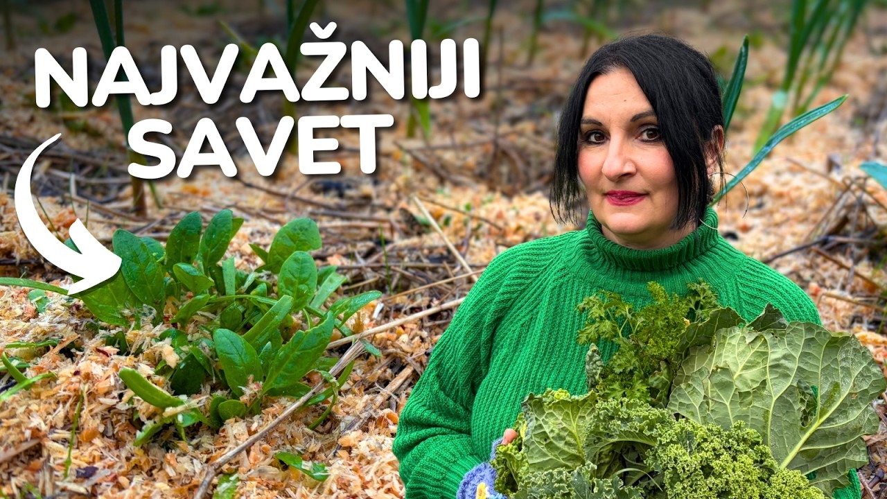 5 Ключевых Советов, Которые Упростят Садоводство