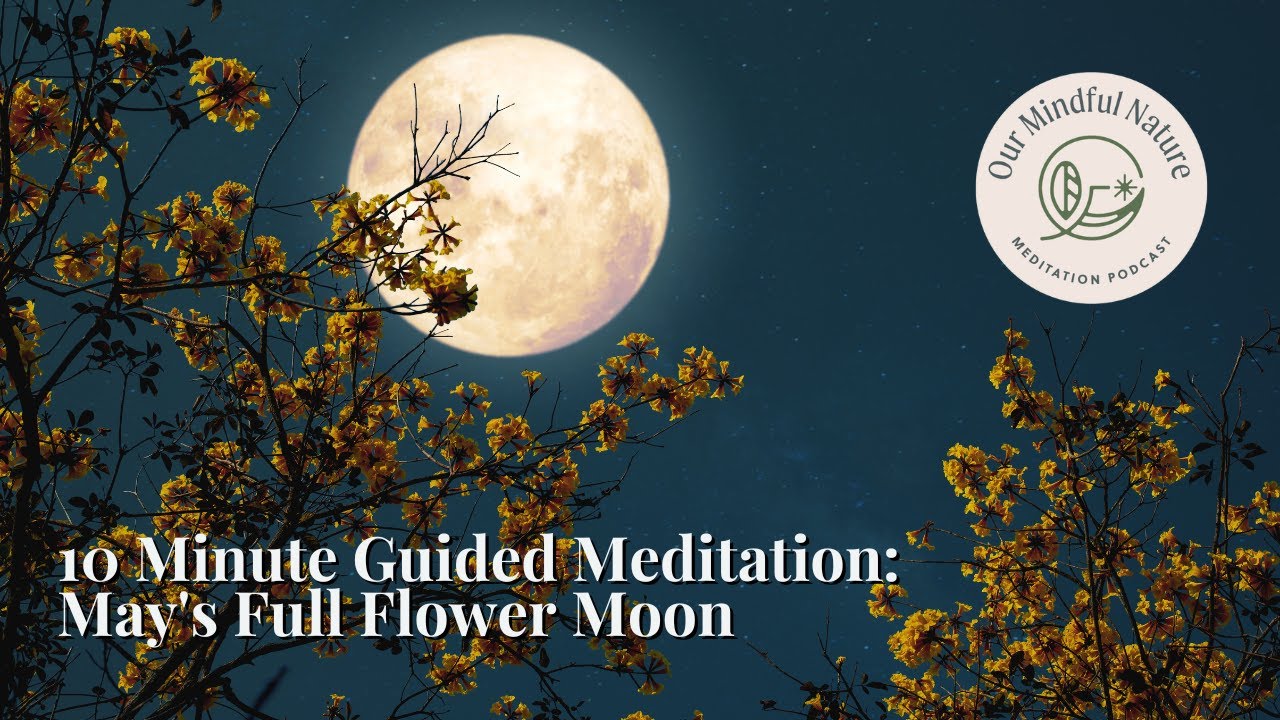 10 Minute Guided Meditation: May's Full Flower Moon