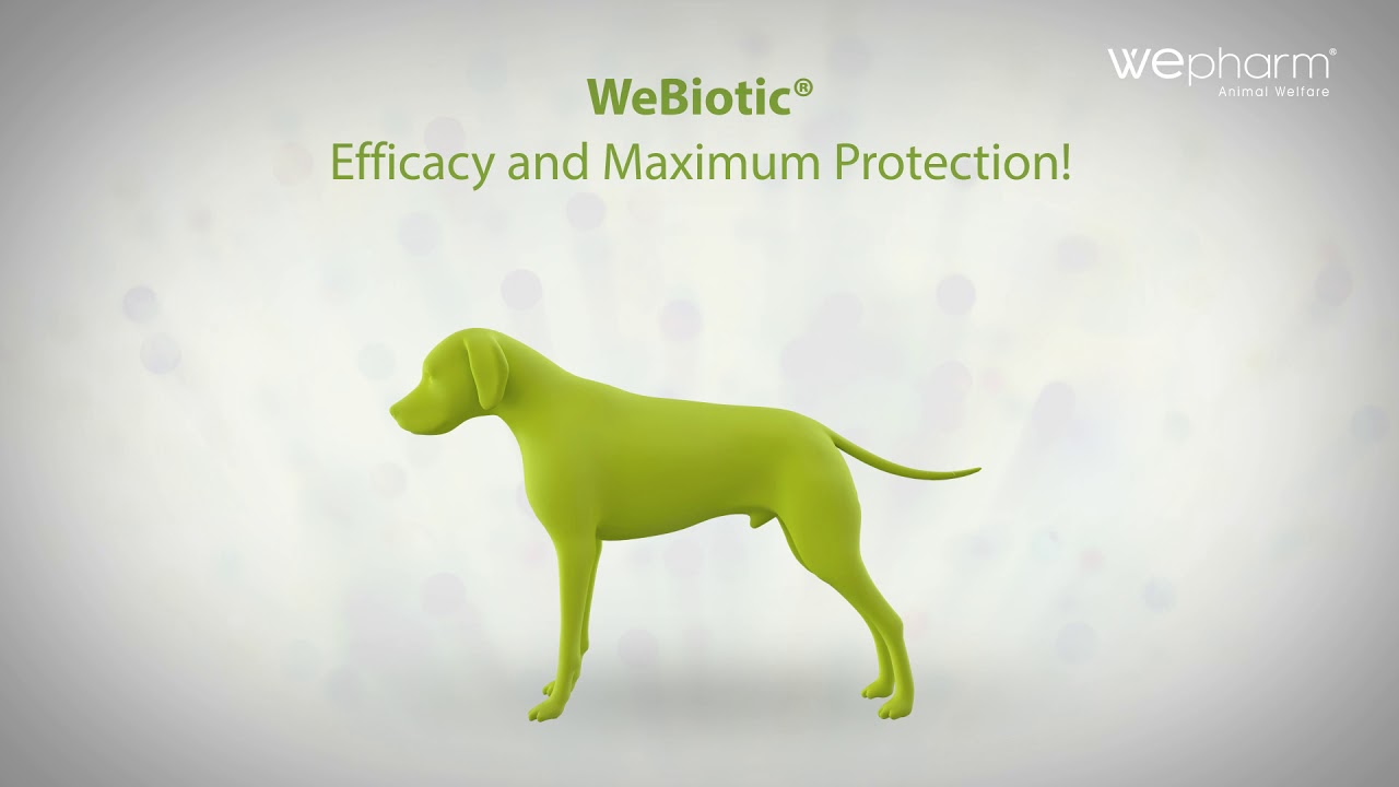 webiotic fast en