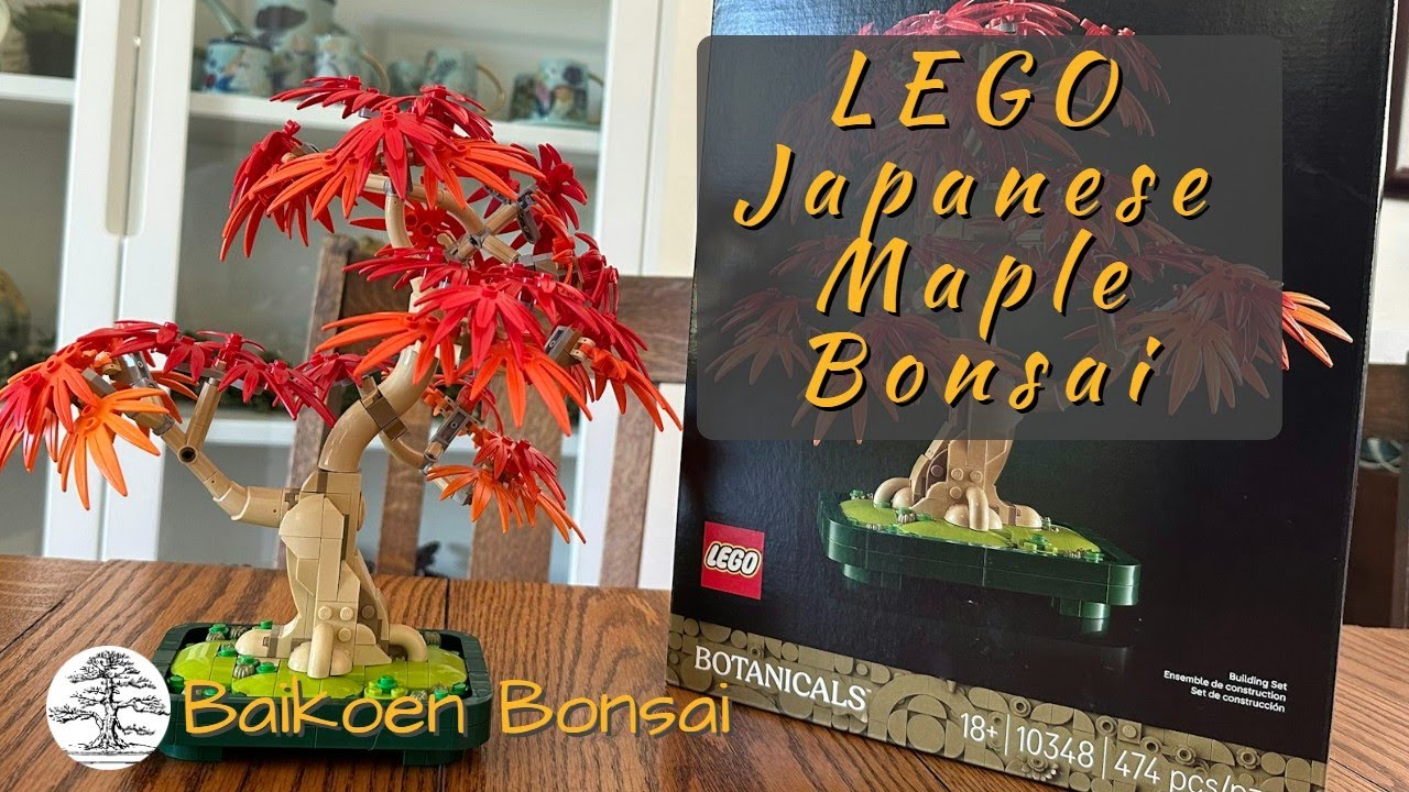 LEGO Japanese Maple Bonsai | Baikoen Bonsai Club
