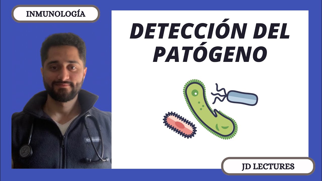 DETECCIÓN DEL PATÓGENO | PAMPS, DAMPS y PRRS | INMUNOLOGÍA