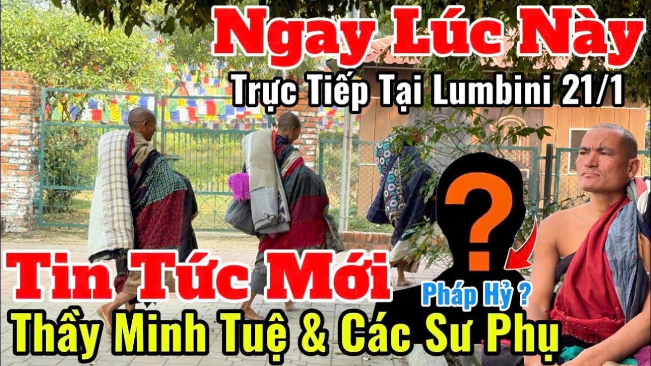 Trực Tiếp Tin Tức Mới Nhất Thầy Minh Tuệ & Các Sư Phụ 21/1 |Có Biến Gì Hôm Nay Từ Pháp Hỷ #suminhtue