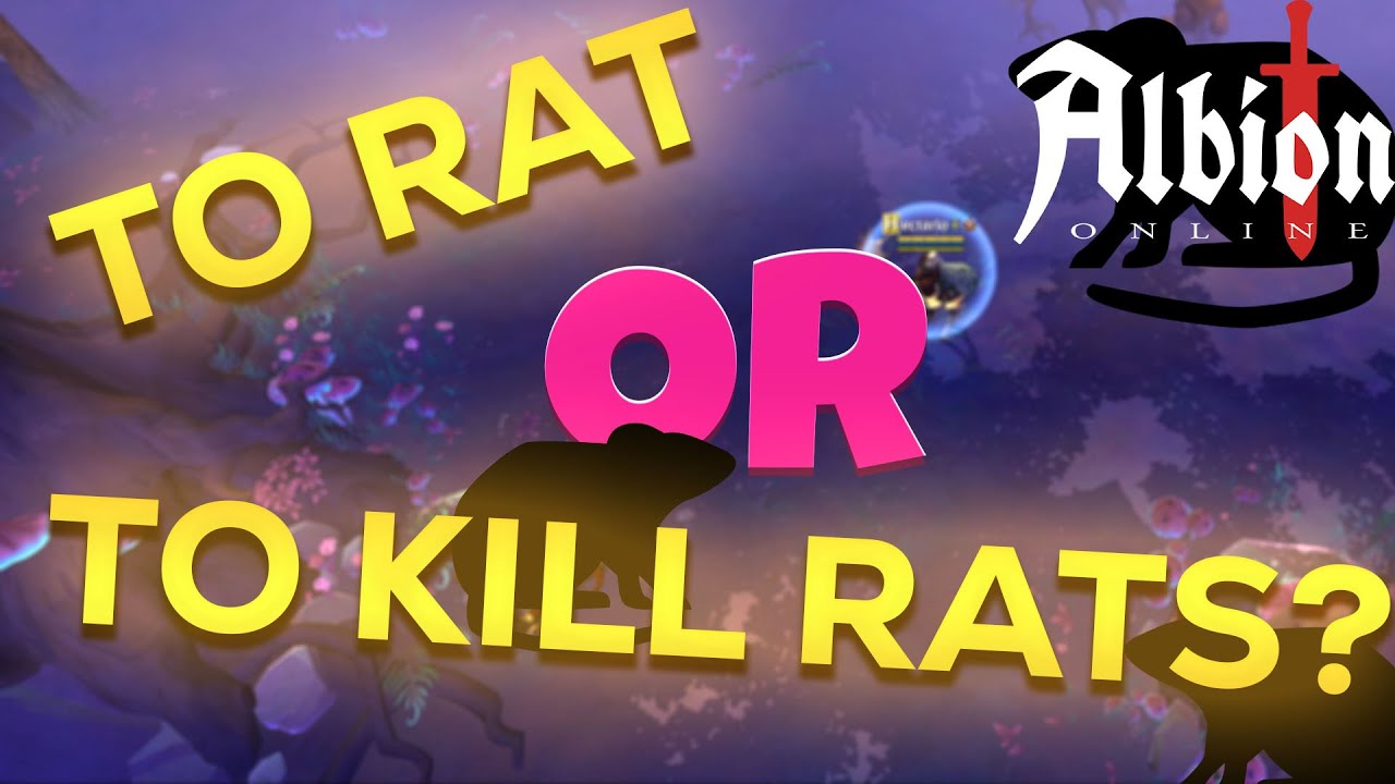 Dealing with RATTING in the MISTS | PvP Albion Online