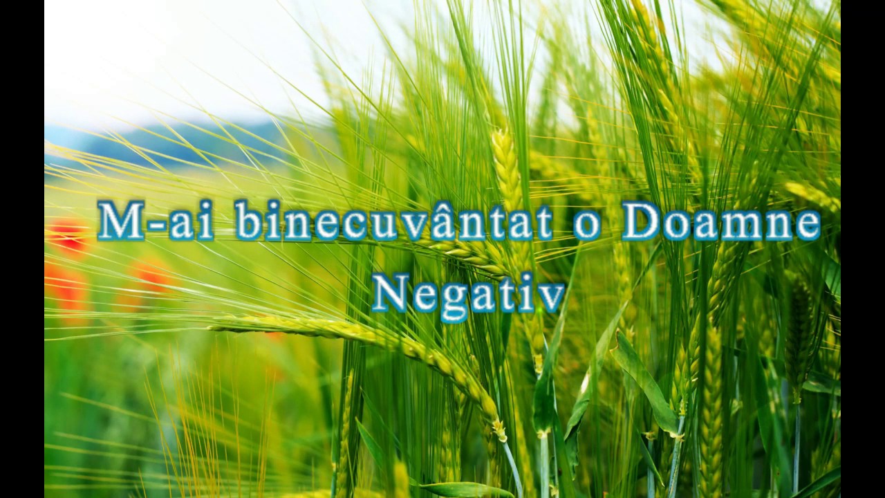 NEGATIV - M-AI BINECUVANTAT O DOAMNE
