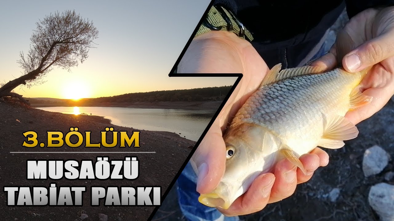 Eskişehir Musaözü tabiat parkında sazan avı yaptık / Carp fishing in Musaözü Eskişehir