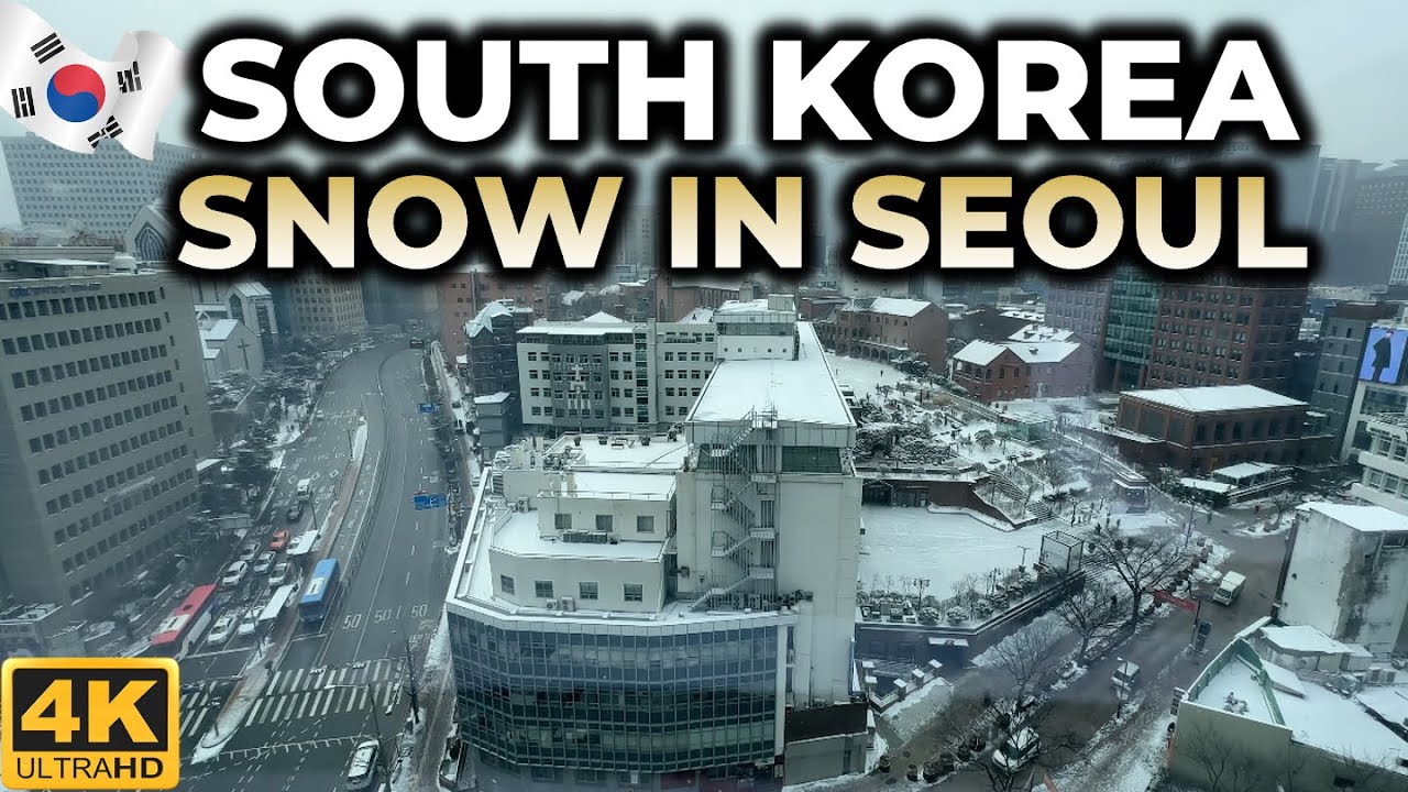 South Korea Scenery : A snow day in Seoul (Myeong-dong, 4K)