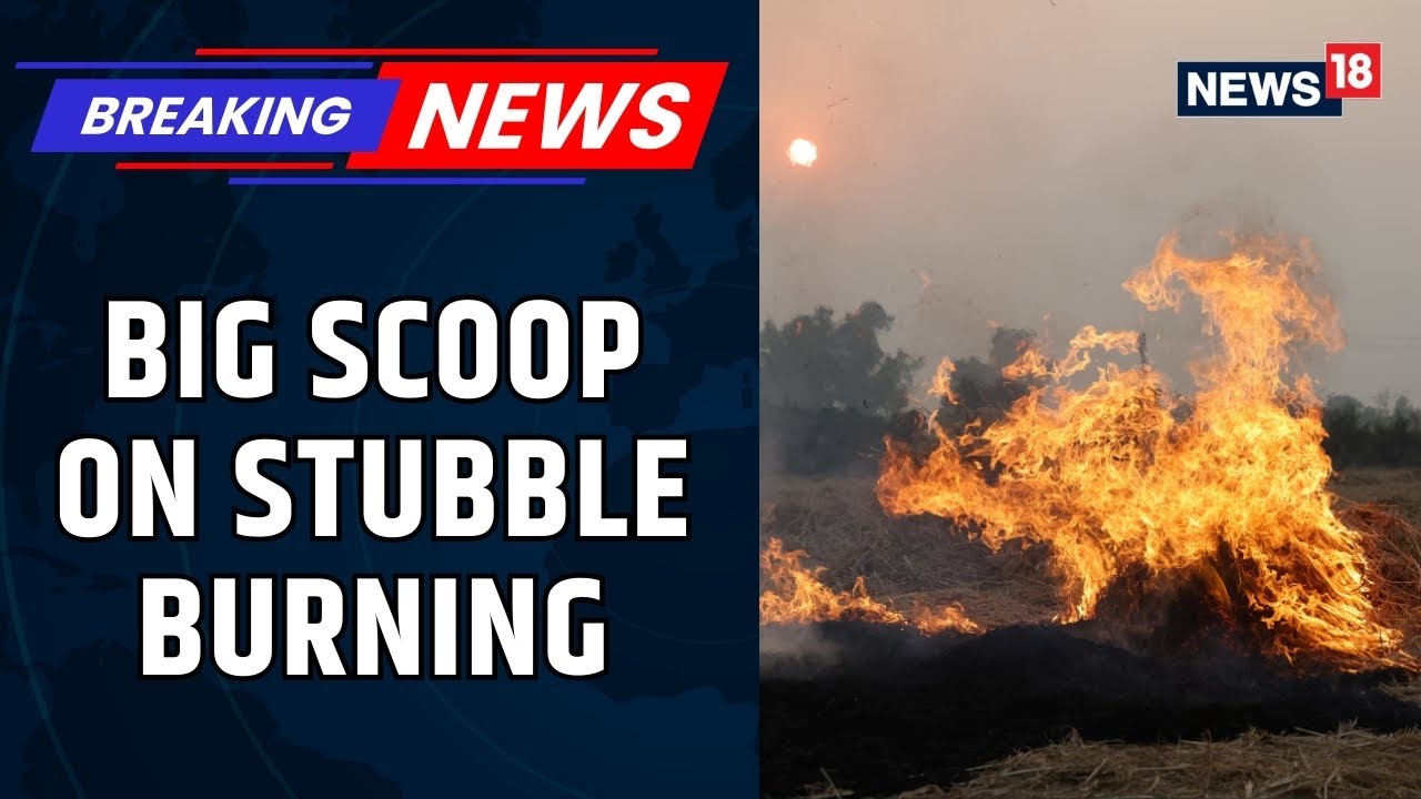 After Satellite Data Gaps, New Study Calls For More Rigorous Monitoring Of Farm Fires | News18