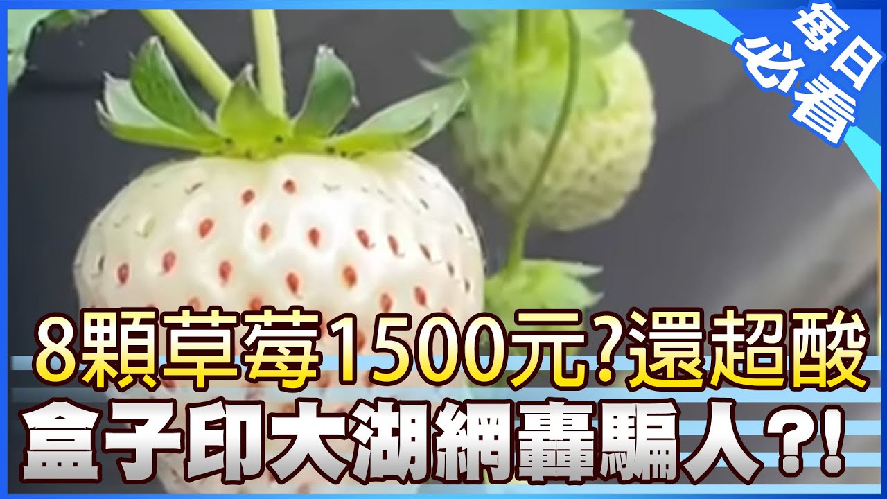 【每日必看】8顆草莓1500元還超酸客氣炸! 龍鬚糖離奇消失?! 20260201
