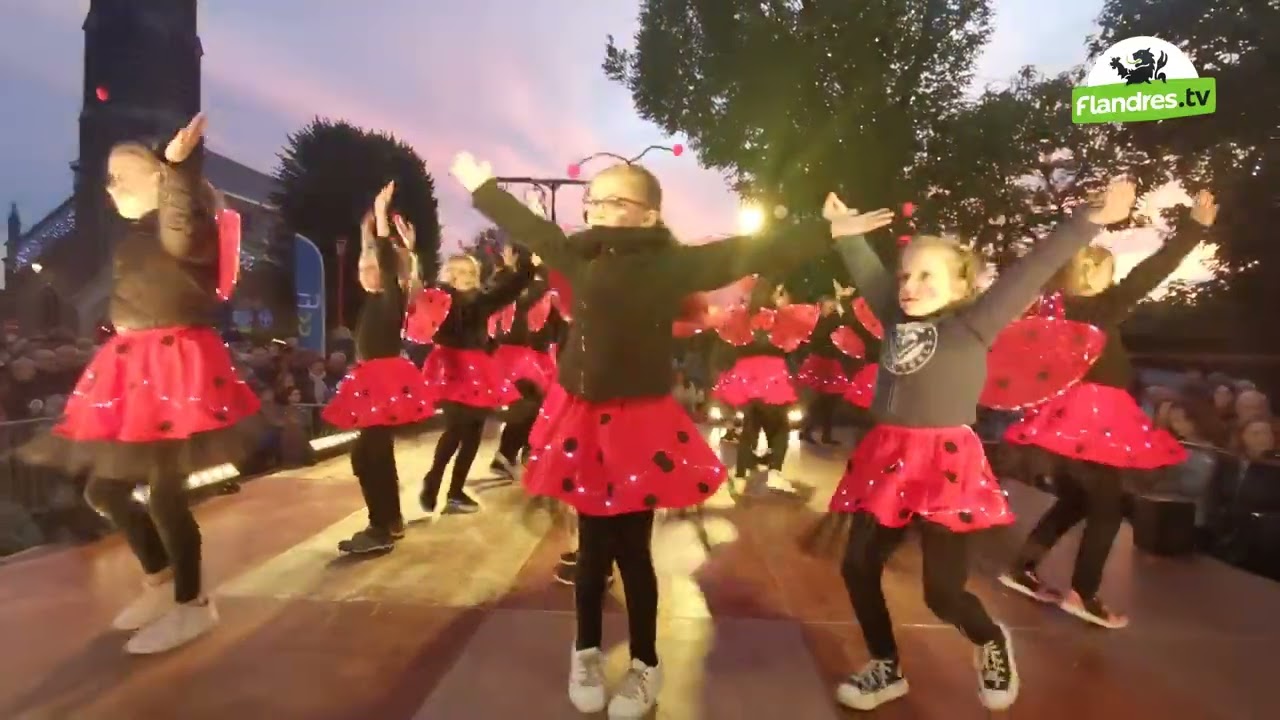 [Fête des Lumières à Neuf-Berquin]