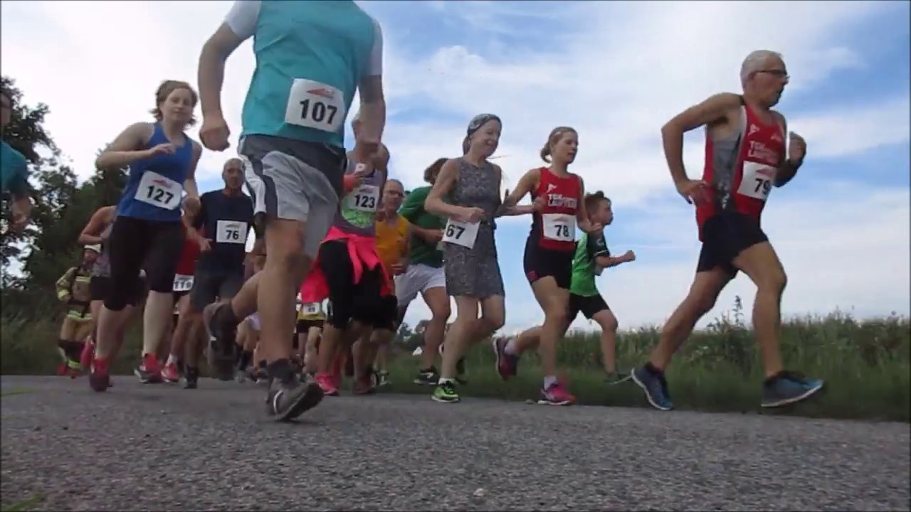 20. Schloßberglauf - Hauptlauf über 8,8 Kilometer/  Altenschönbach, 22.07.17