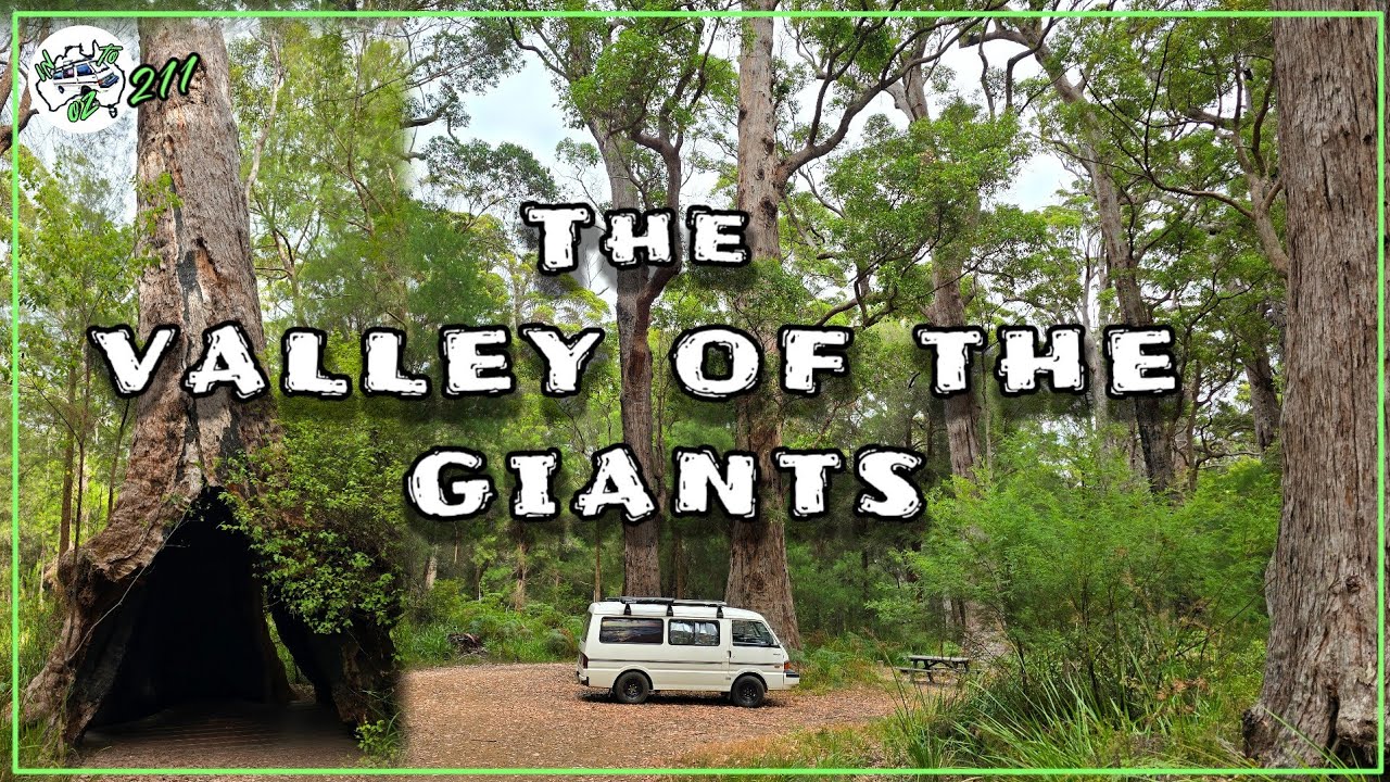 The VALLEY OF THE GIANTS, Western Australia