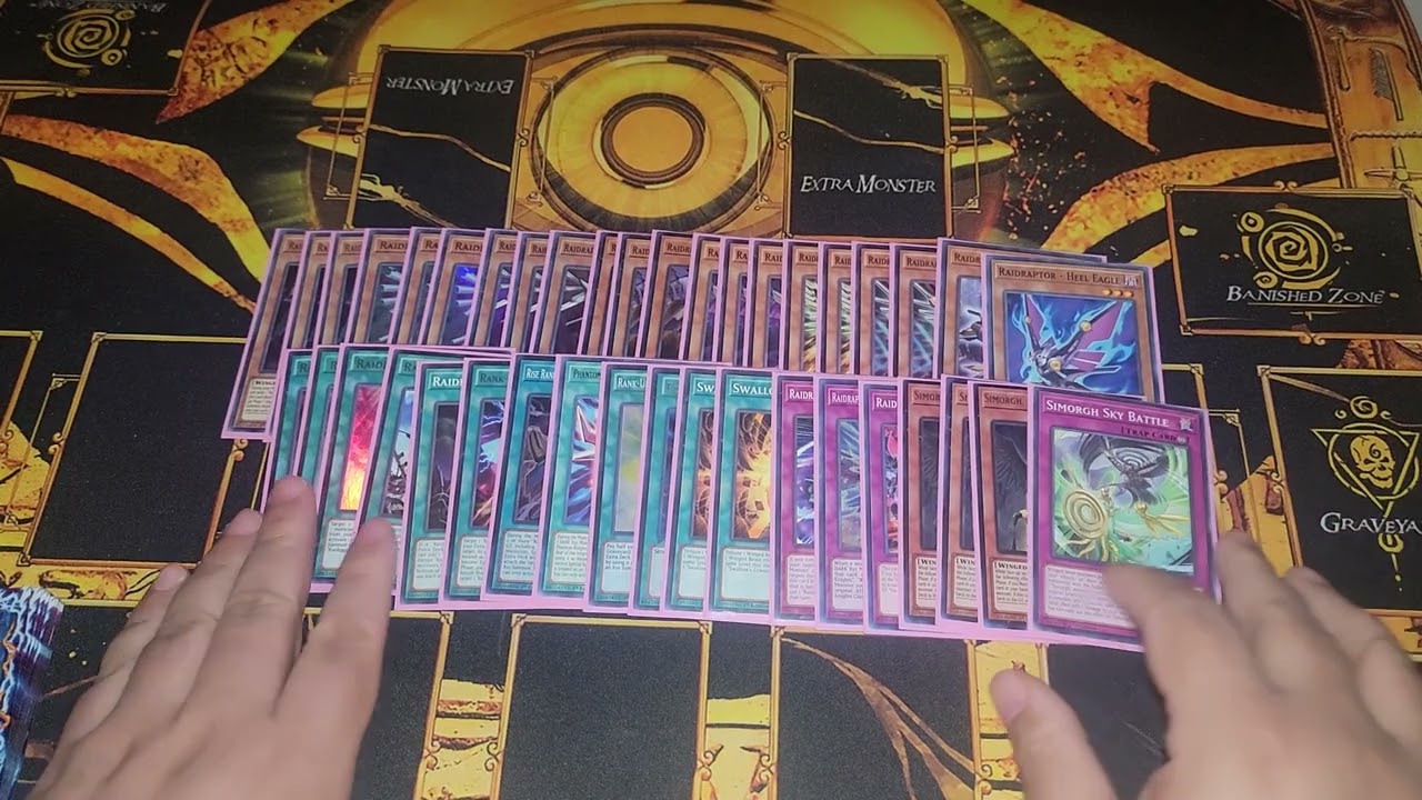 Did You Know This Raidraptor Combo? + My Update Build