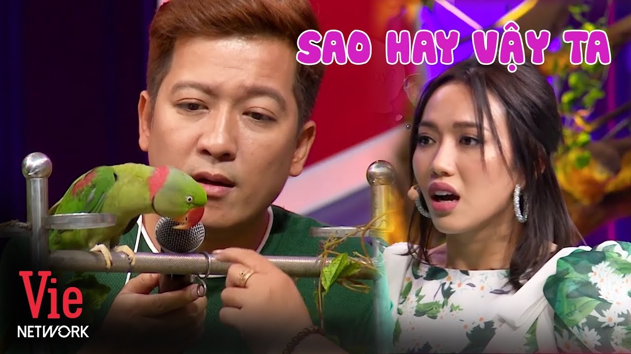 Trường Giang, Diệu Nhi thích thú với khả năng nói của chú vẹt siêu đáng yêu | Ai Là Số 1
