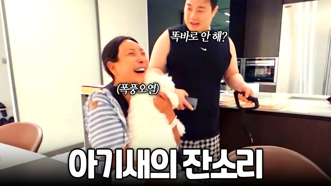 삼촌vs아줌마 새해부터 아기새랑 한판 붙었습니다