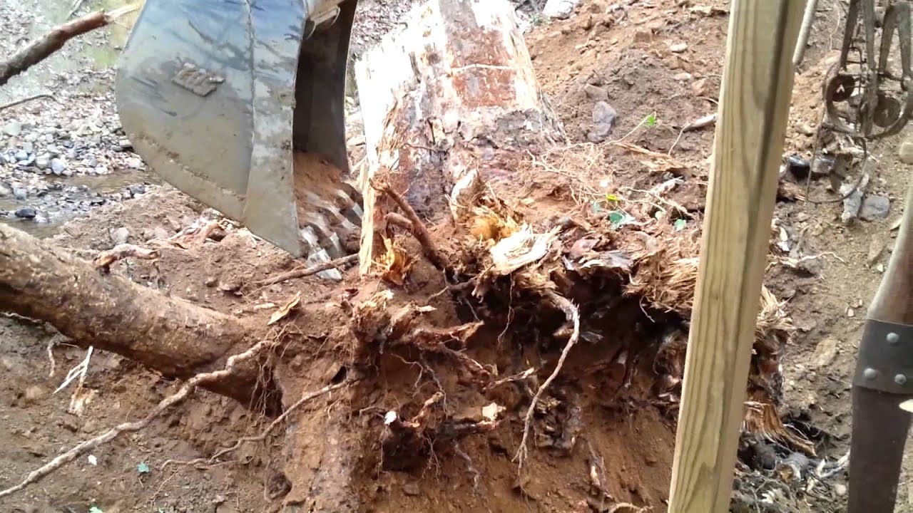 Heavy Equipment Case 580N Backhoe Working on a Stump