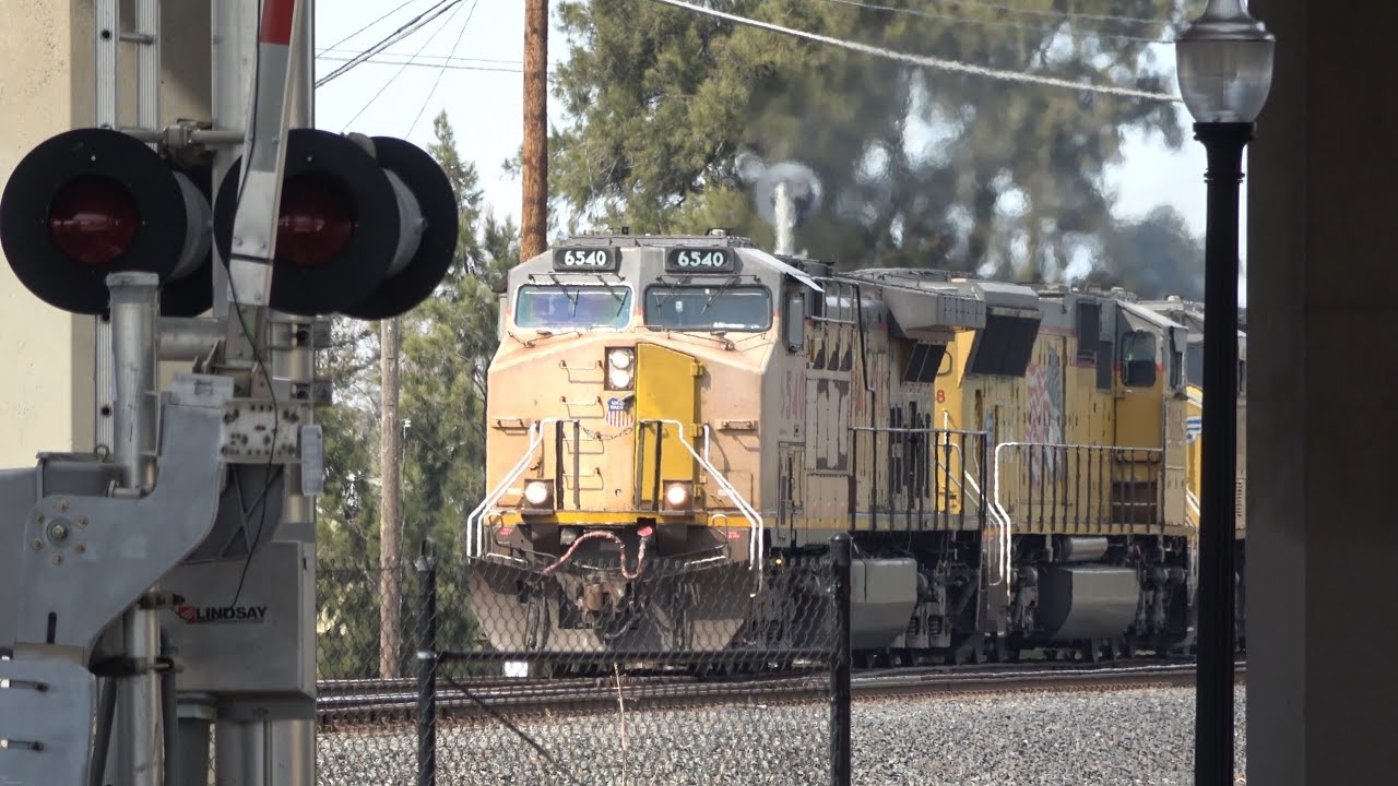 Union Pacific Freight Trains Over Folsom Blvd & At Brighton Feat BNSF and SACRT, Sacramento CA