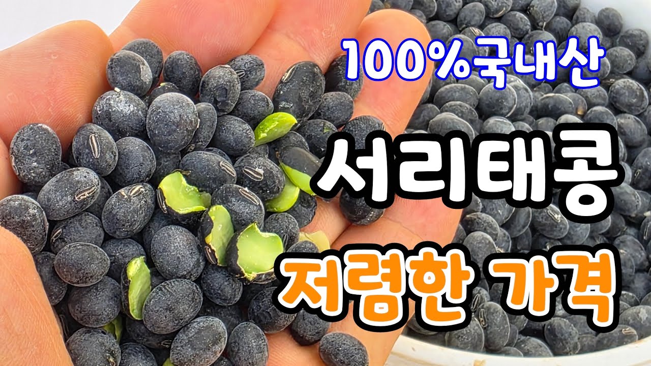 100% 국산 서리태콩 이가격에? 한말 8kg 꿀호박고구마도