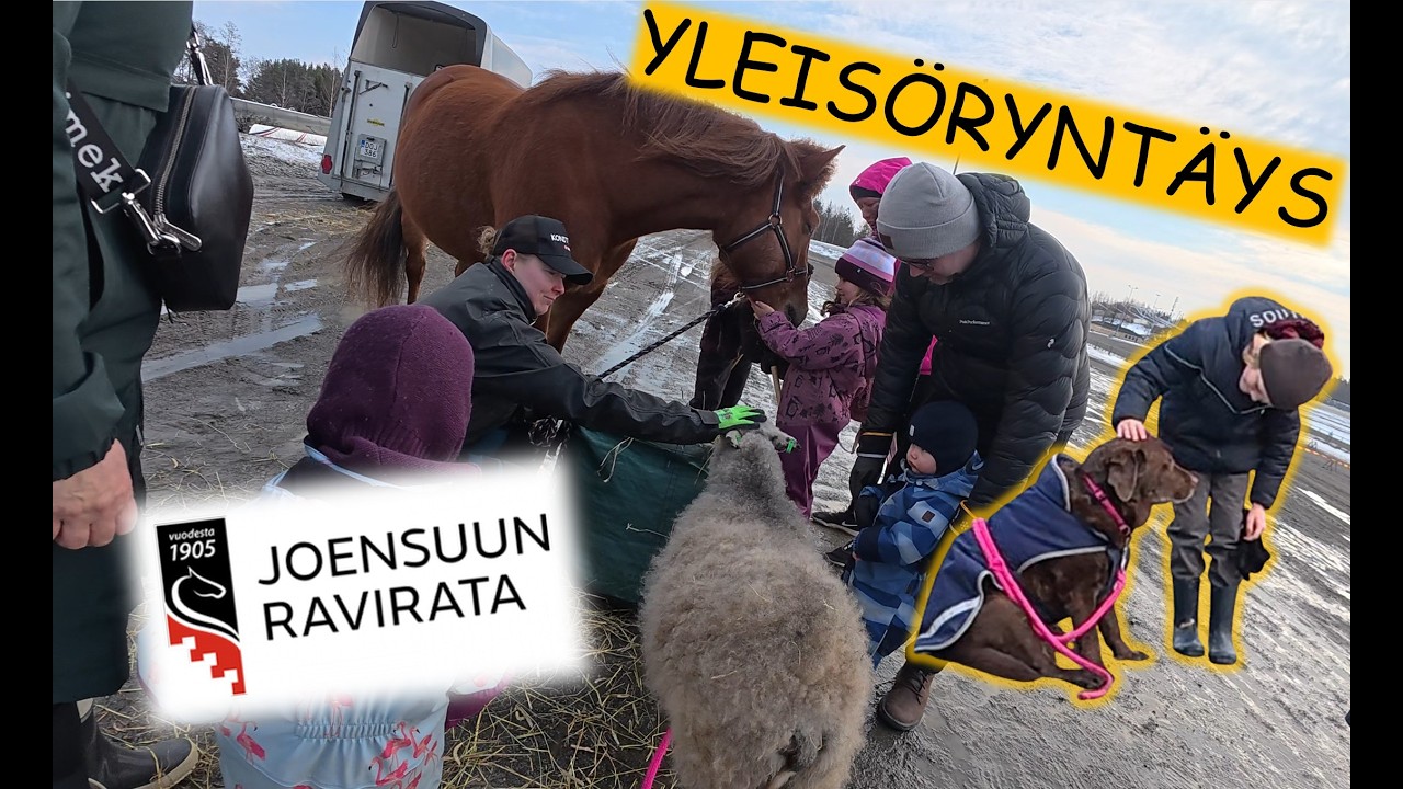 Paukku, Friida ja Maura valloittivat sydämiä: Syntyikö uusia hevosharrastajia? 🐴🐑