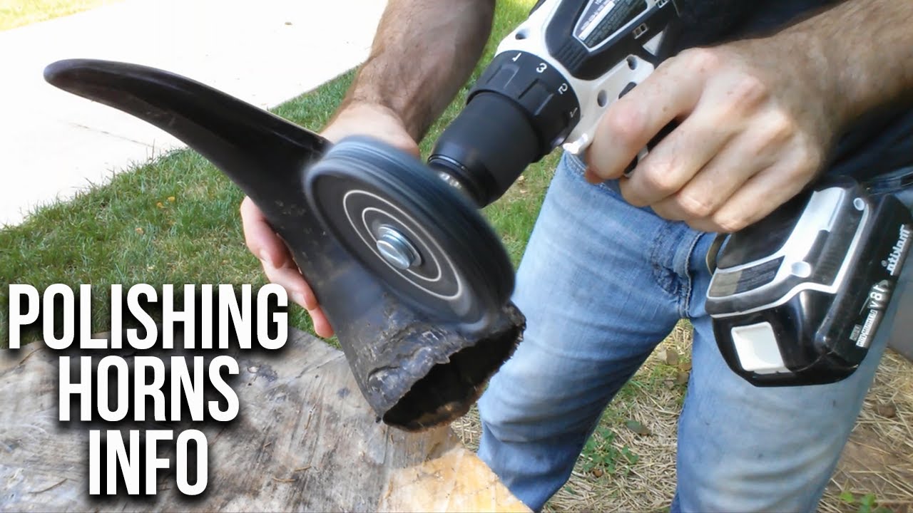 How To Polish Cow and Bison Horns