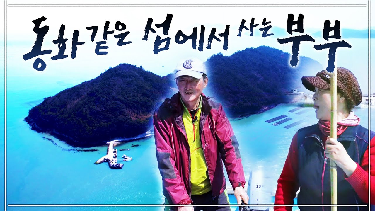 남편 꼬임에 부산에서 완도로 왔어요 ㅎㅎ 내가 전복 키울지는 꿈에도 몰랐죠~ 전복 밥주고 낚시 하는게 진짜 꿀잼이에요 ^^ #완도 #전복 #낚시