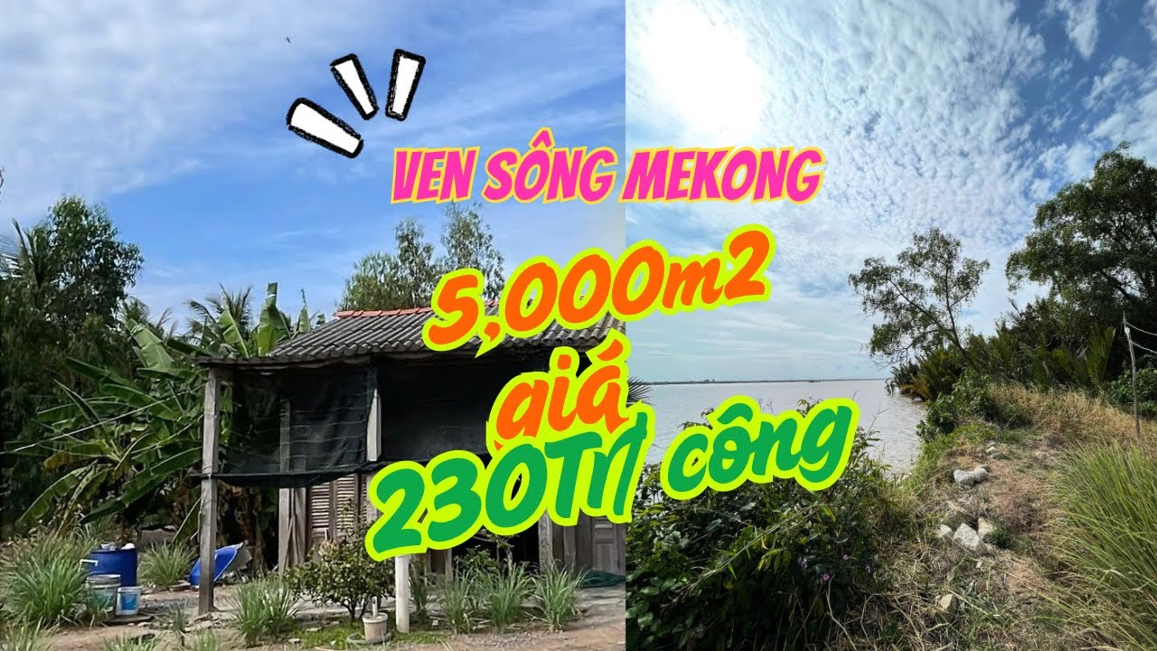 5,000m2 đất ven sông có 300m Thổ cư - tại Tân Phú Đông, Tiền Giang chỉ 230tr/ công 