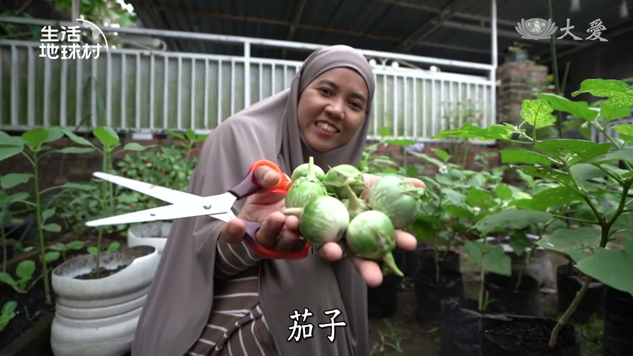 【生活地球村】 利用小空間 種出健康生活 20260222