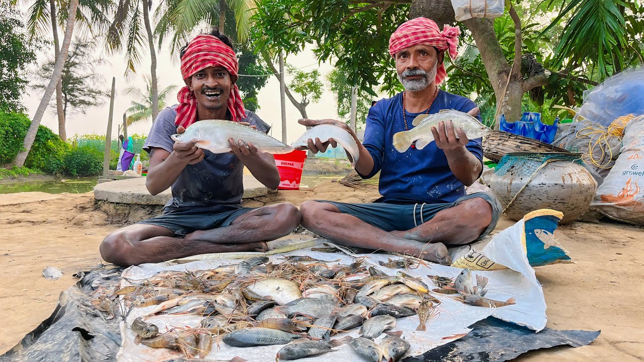 মাঠে ছোট্ট একটা ডোবা ছিচে প্রচুর 🦐গলদা চিংড়ি পেলাম sundarban village fishing!!!