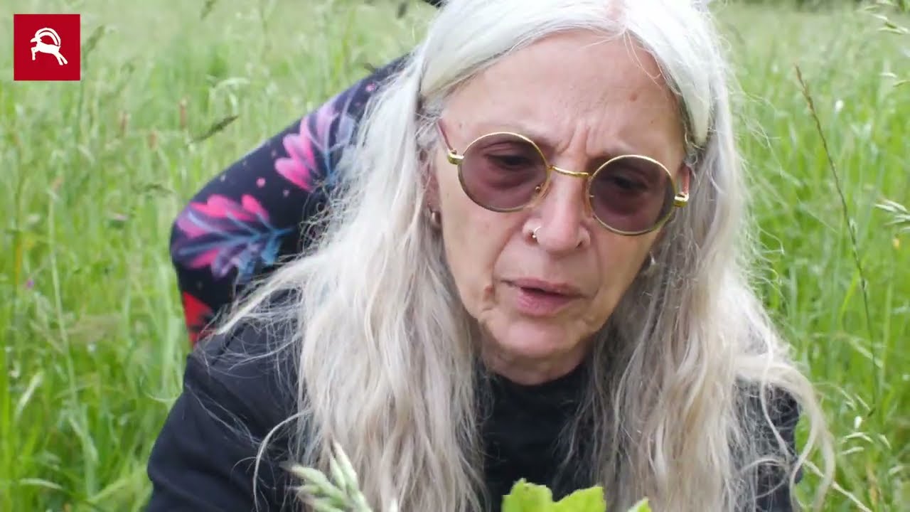 Abbi Molinari delle Erbe