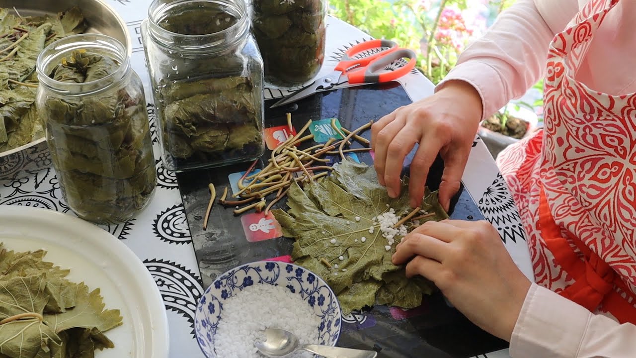 How To Preserve Grape Leaves In Two Ways & Tips By Aysenur Altan