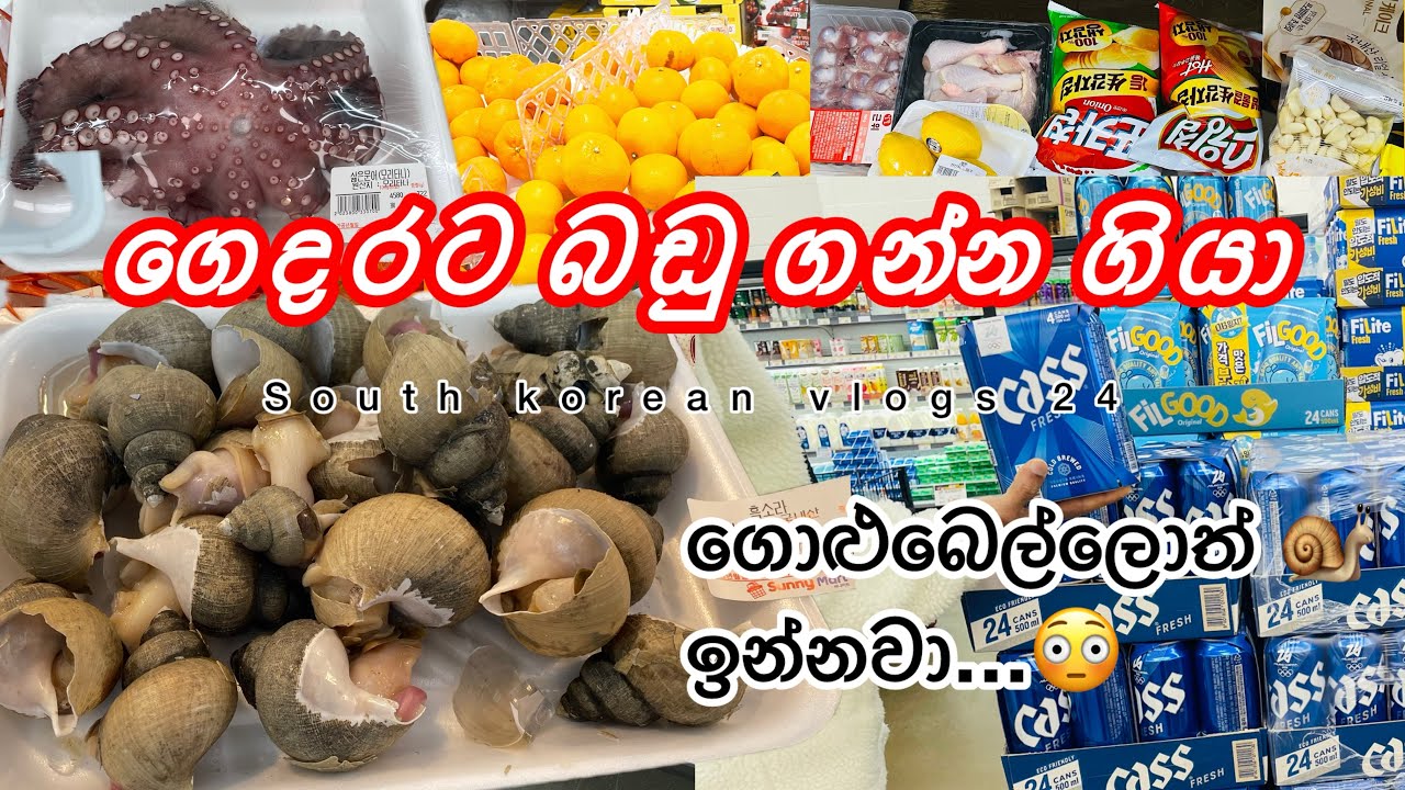 ගෙදරට ඕන කරන බඩු මාසෙටම... 🛍️ | Korea 🇰🇷 Monthly Grocery Shopping 🛒  vlogs 24