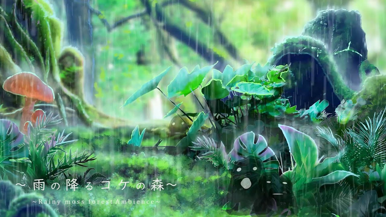 [環境音/ASMR]心地よい苔にあたる雨の音。/6時間/優しい雨の音。/@Sound Forest