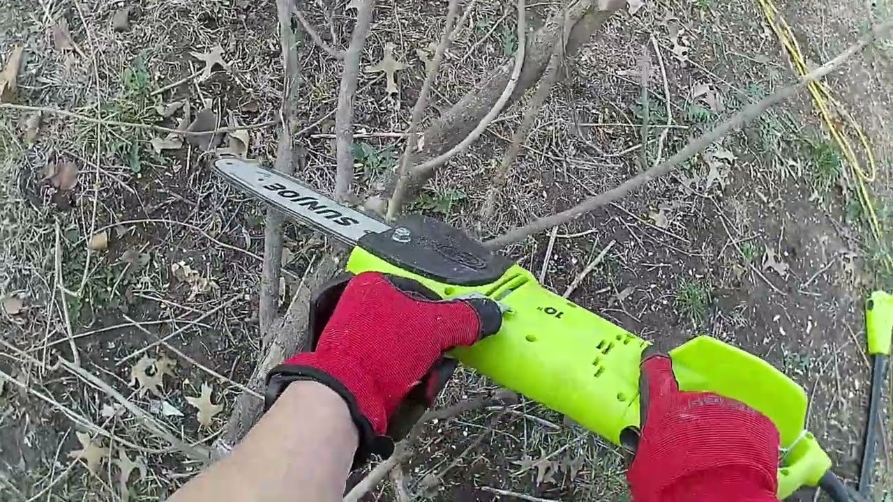 Sunjoe Pole Saw Chainsaw 2 in 1