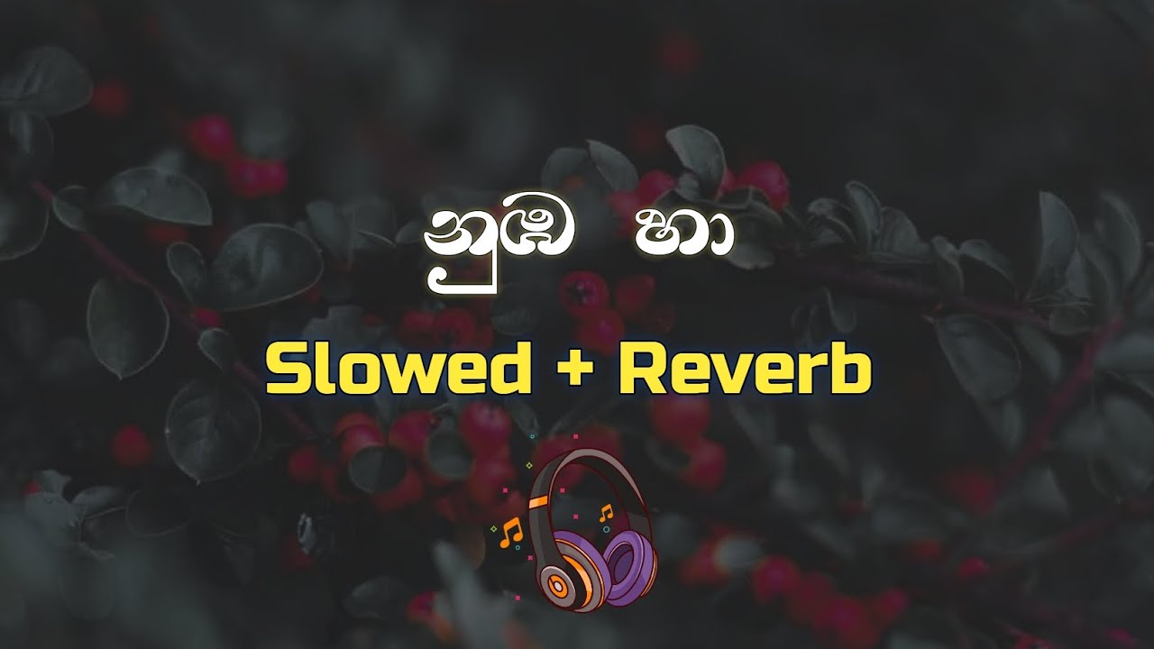 Nuba Ha [ නුඹ හා ] - Slowed + Reverb #nubaha #slowedandreverb #nubahaslowed #reverb #reverbed