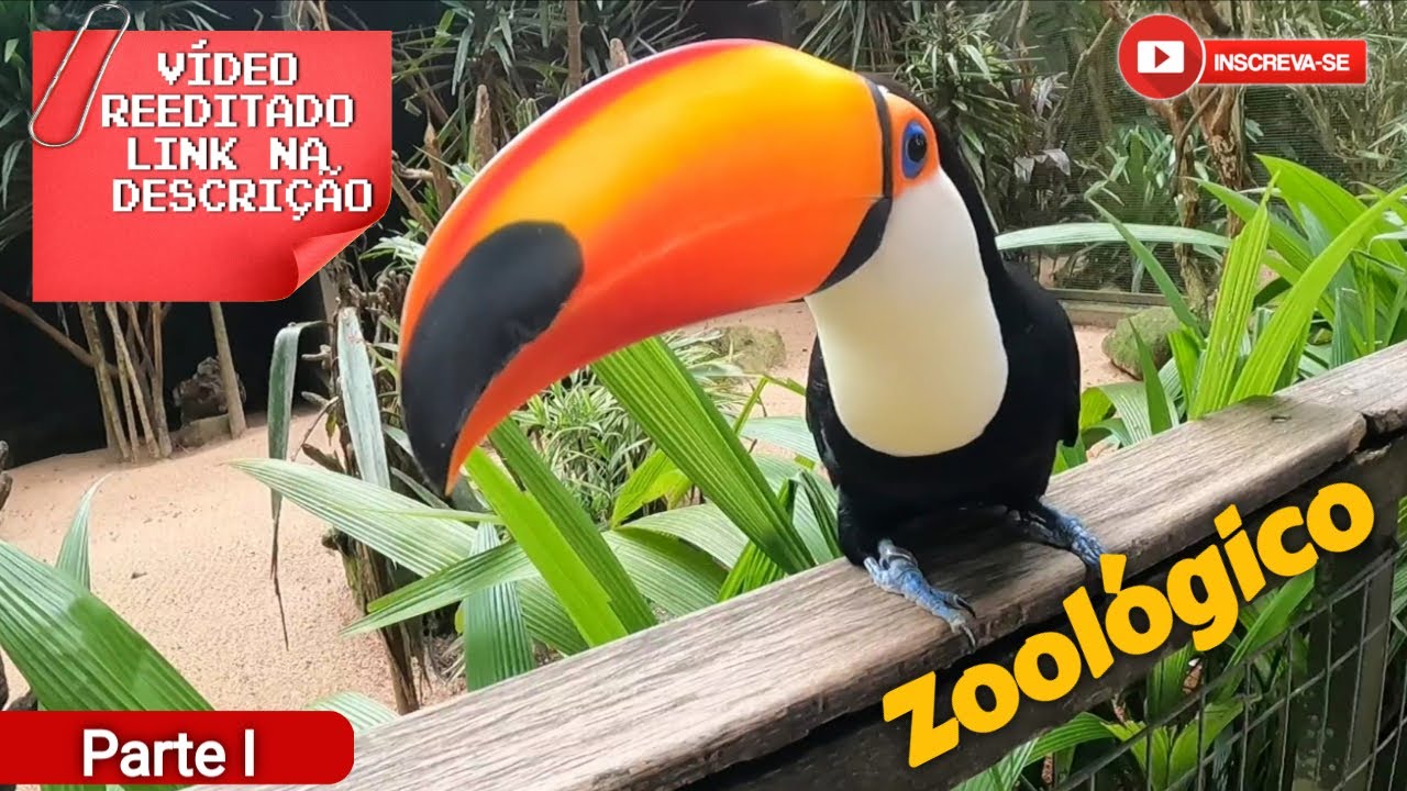 Vídeo reeditado - link novo na descrição | Zoológico de Itatiba 