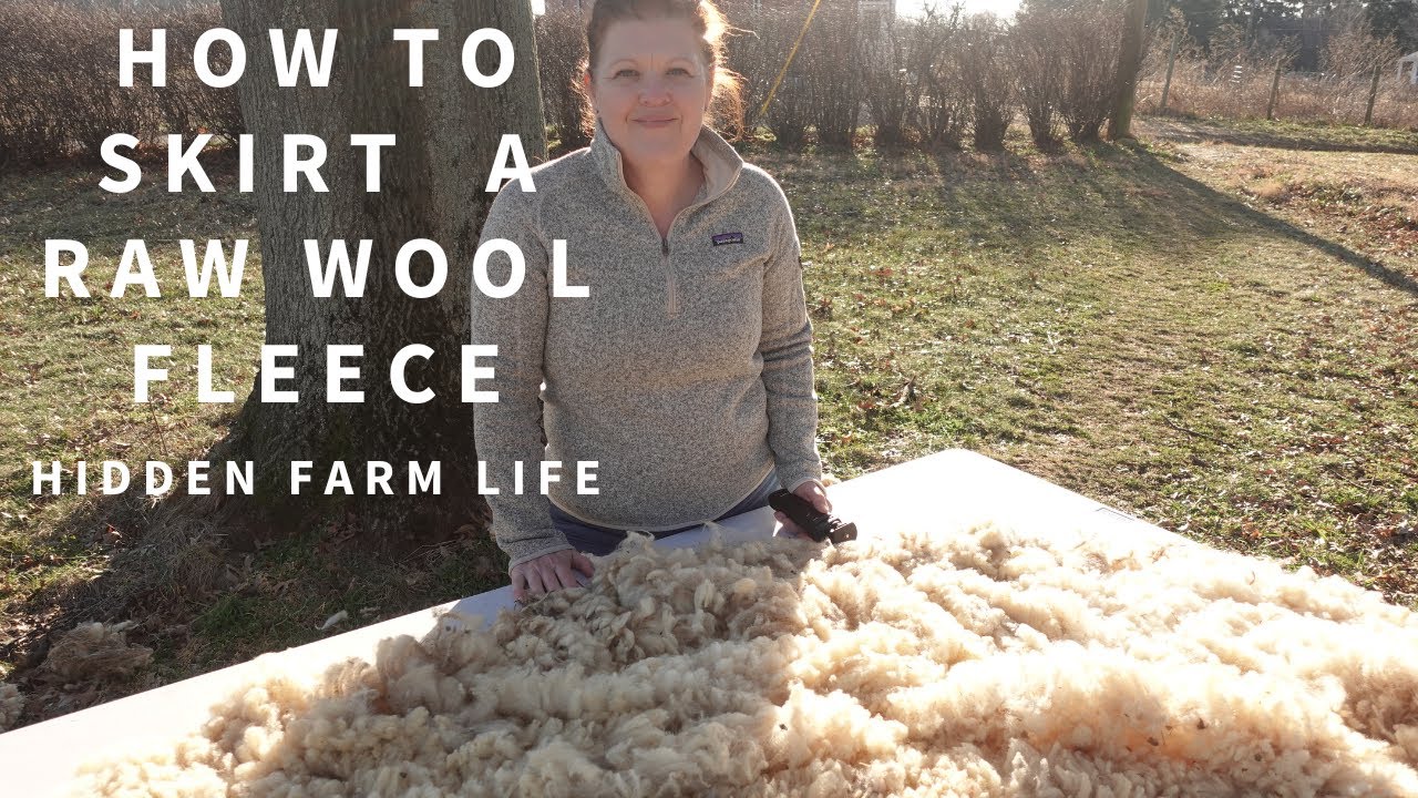 How to skirt a raw wool fleece 😮