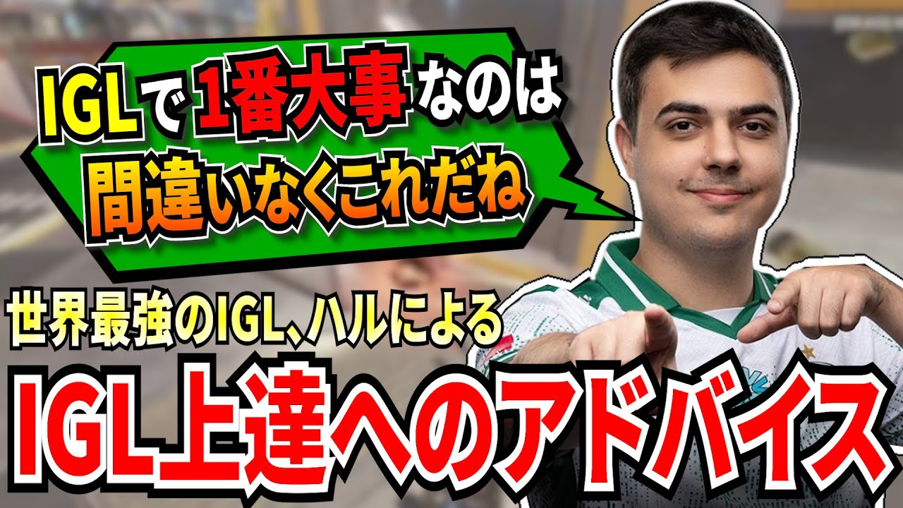 IGLを上手くなる為にすべき事を語るハル！そして、IGLで1番大事な事の答えがあまりにもハルそのものすぎた！【APEX翻訳】