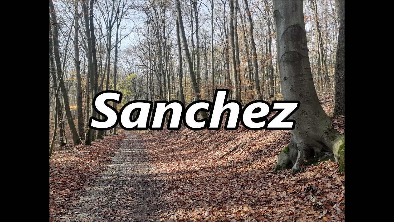 SANCHEZ as Family Name   Meaning and Origin